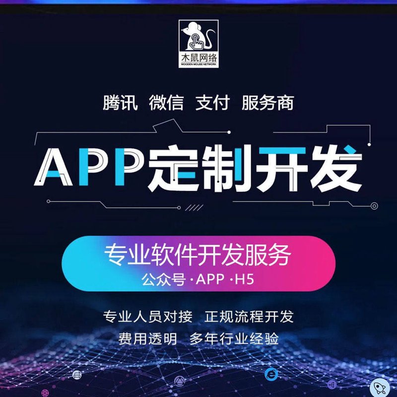 APP开发外包：构建企业数字化转型的新引擎